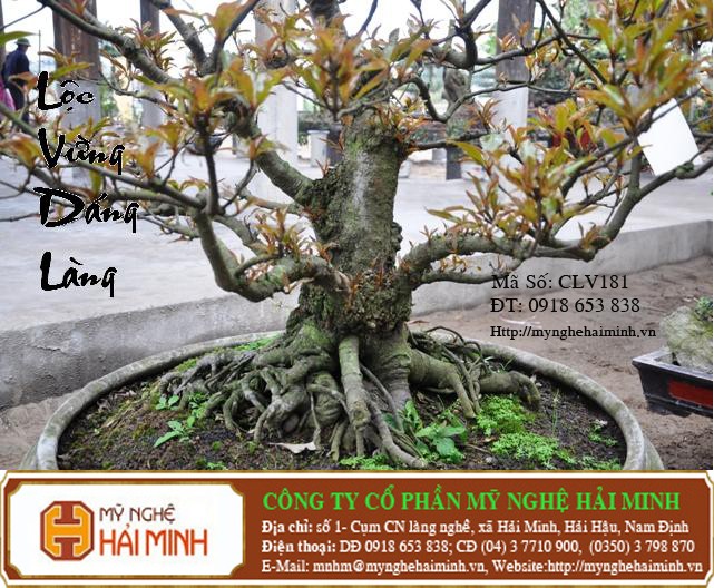 Do go my nghe Hai Minh - Hai Hau - Nam Dinh